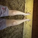 궁전보석불가마사우나 이미지