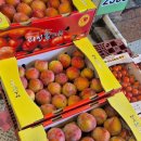 부광상회 이미지