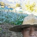 하늘농원 이미지