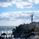 강동 화암 주상절리 | 울산 가볼만한곳 태화강 억새군락지 강동화암주상절리 강동누리길
