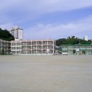 삼척초교 이미지