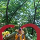 송죽 - 밀양시 | 송죽