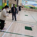 보체초등학교 이미지