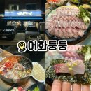 일산맛집어화둥둥 | [일산] 어화둥둥 활어회전문점 일산 방어맛집 발견 풍동 방어 횟집 내돈내산 후기