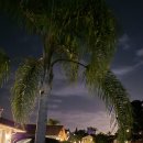 수영당구클럽 이미지