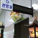 양지공원 제주일보