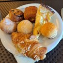 라우루스 | 겨울방학 이탈리아_B&amp;B 호텔 피렌체 라우루스 알 두오모 후기 (주니어 스위트룸, 조식)