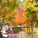 탕정119안전센터 맞은편 | 강원도 단풍 절정 태백 철암단풍군락지 축제 정보