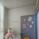 피넛스테이 이미지