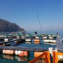 청춘바다낚시 이미지