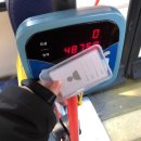 화이트사 이미지