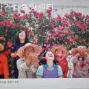 동신요양원 | 추천 성북구 요양원 알찬간호요양센터 / 가는길 업체 정보