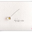 미자네상점 - 무안군 | 미자네상점