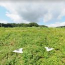 윤부자공인중개사사무소 이미지