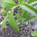 행석농장 이미지