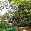 꽃피는산골 이미지