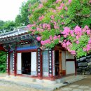신원사 - 1052 | 신원사