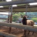 장생농장 이미지