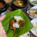복음식당 | 서산터미널맛집 점심메뉴추천 뿐이네식당 우렁쌈밥정식 후기