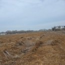 신구농장 이미지