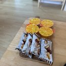 리벤시아 이미지