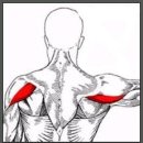 캐롬학당 이미지