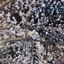 세븐일레븐 대구북구고성점 이미지