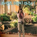 A460 | 마우이섬 하와이여행 : 하얏트 리젠시 마우이 리조트 &amp;스파 호텔후기