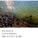 『알고 보면』 / 권현숙 디카시집 이미지