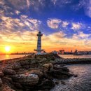 대숲여행 이미지