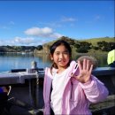 산과들과바다와함께 이미지