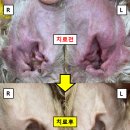 유기화동물의료센터 이미지