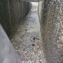 석수빗물배수펌프시설 | 경북지역준설차 투입으로 진행한 집수조청소와 배수로퇴적물청소, 우수펌프시설준설 현장 기록