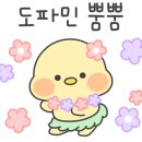 오월사진관 이미지