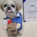 태희 서울신문