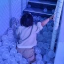 이마트24 과천문원점 | 3살 아기랑 과천 원더파크 총정리(주차·할인 예약방법·장단점)