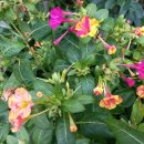 달밤여인숙 이미지