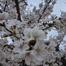 정읍정심마을관리사회적협동조합(예비) | 정읍 술로슬로우 투어