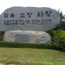 모람식물원 티스토리