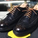 에이스 캣 이미지