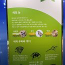 화진포생태박물관 이용후기