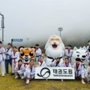 용인대 성민태권도 이미지