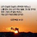 굴레에서 벗어나라/긍정의힘/조엘오스틴/말씀카드/시편102편요절성구/요한복음14장12절/아침노을/일출 이미지