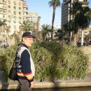 파피루스, 팔복교회 지붕 이미지