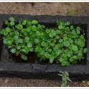 방동가든 이미지