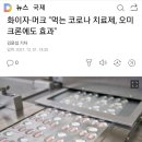 화이자·머크 "먹는 코로나 치료제, 오미크론에도 효과" 이미지