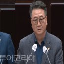 개in공방 이미지