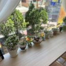 폴브레드 이미지