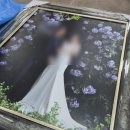 제일화방 - 창원시 마산합포구 동서북9길 10 | 웨딩 액자 갈이 가성비있게 하는법 : 삼각지역 [미림화방] 내돈내산 후기