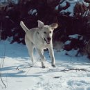 나무고아원입구 이미지